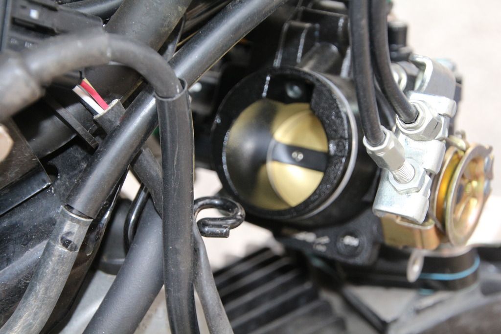 Finbro exhaust review, 183 upgrade review, KOSO 34mm throttle body review Honda Grom